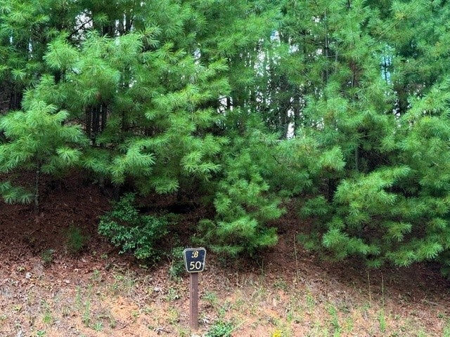 Lot 50 Brightwater Trail