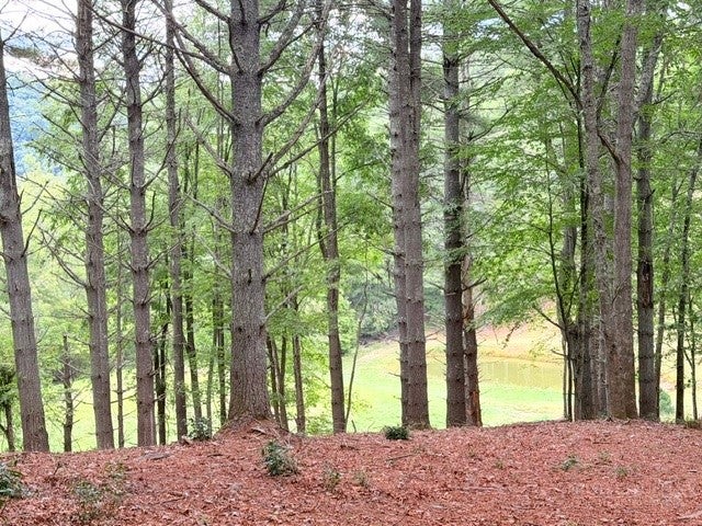 Lot 50 Brightwater Trail