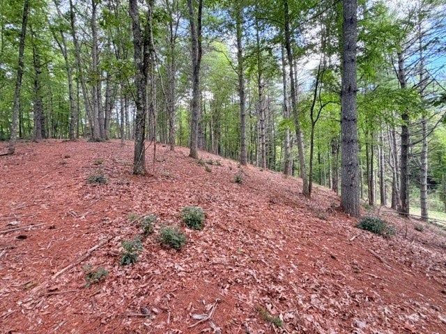 Lot 50 Brightwater Trail