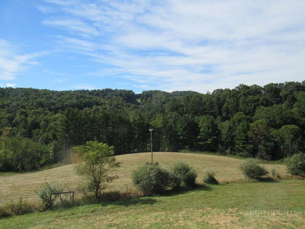 286 Cora Lane