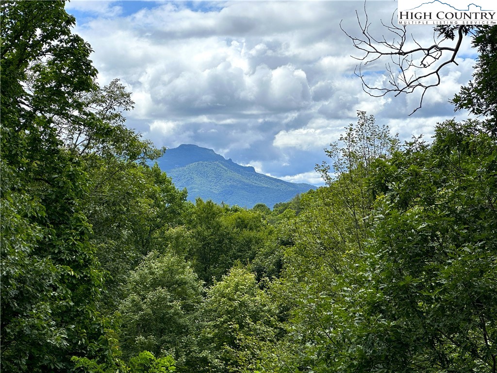 Boone, North Carolina 28607, United States, 4 Bedrooms Bedrooms, ,6 BathroomsBathrooms,Residential,Active,118334