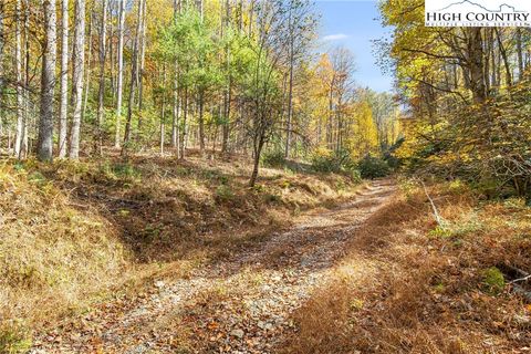 Photo of TBD Monroe Herman #1 Road, Banner Elk, NC 28604 (MLS # 258718) Photo of TBD Monroe Herman #1 Road, Banner Elk, NC 28604 (MLS # 258718)