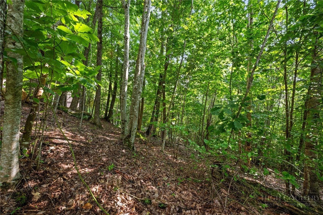 Lot 56 Pinnacle Drive
