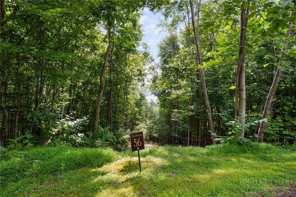 30 PINNACLE DR, ELK PARK, NC 28622 - Image 45127cf2f338b80d0371d5c397f9d2bf/1995569872