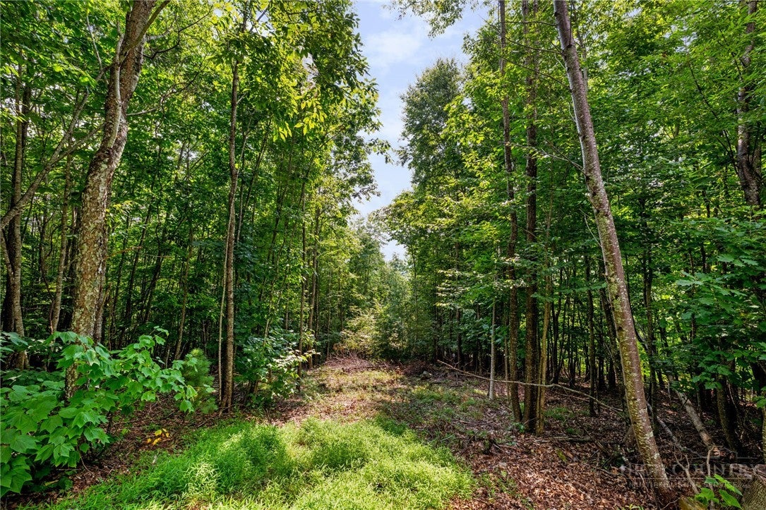 Lot 56 Pinnacle Drive