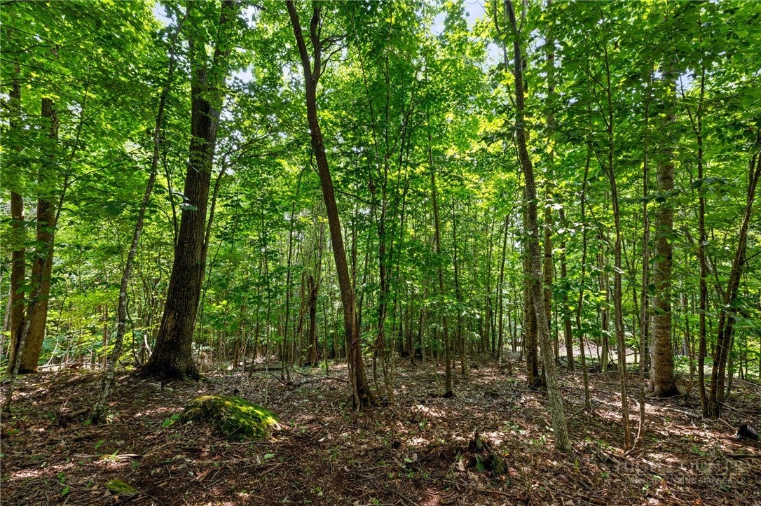 Lot 56 Pinnacle Drive