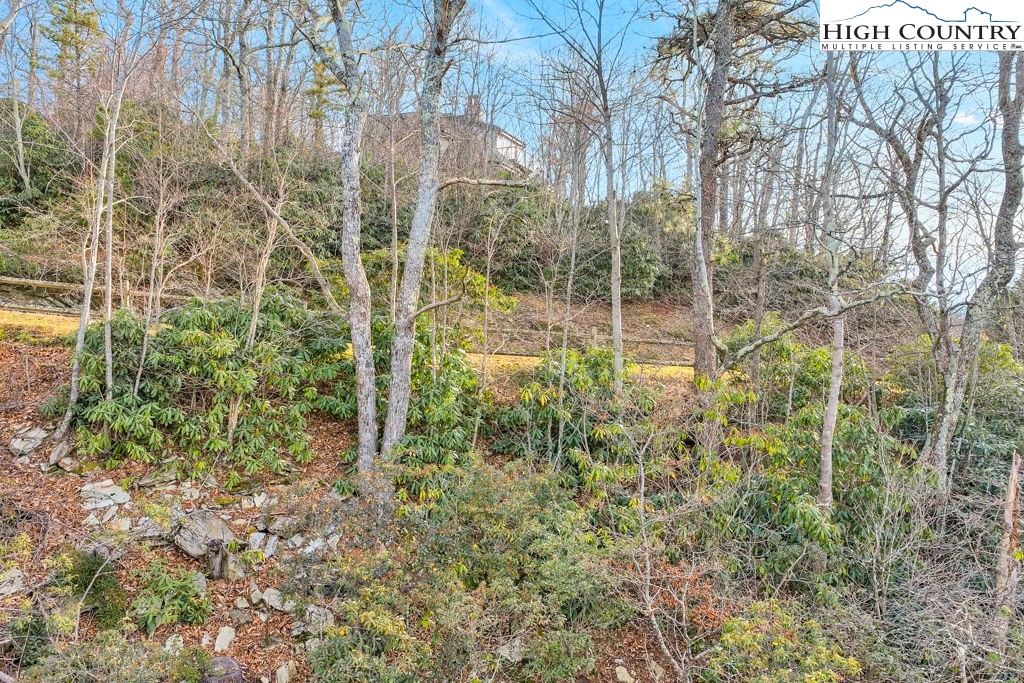 Boone, North Carolina 28607, United States, ,Land,Active,251717