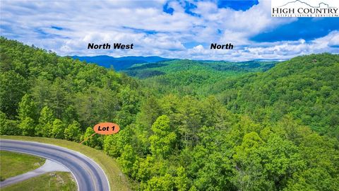 Photo of Lot 1 Reynolds Parkway, Ferguson, NC 28624 (MLS # 244234)