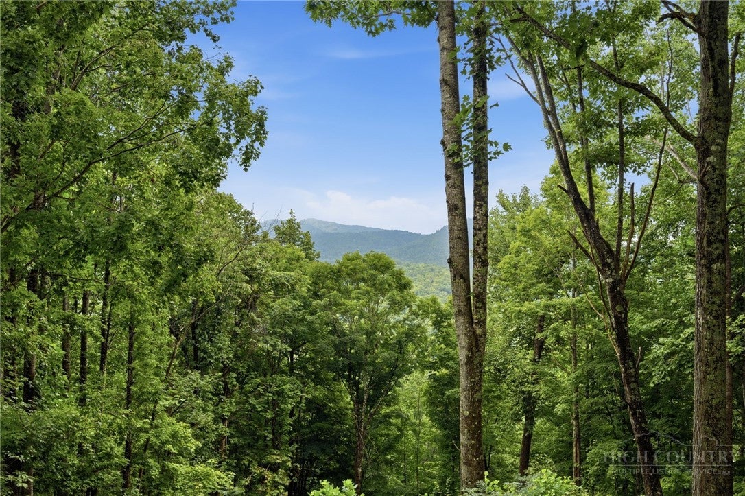 Lot 70 Bear Paw Road