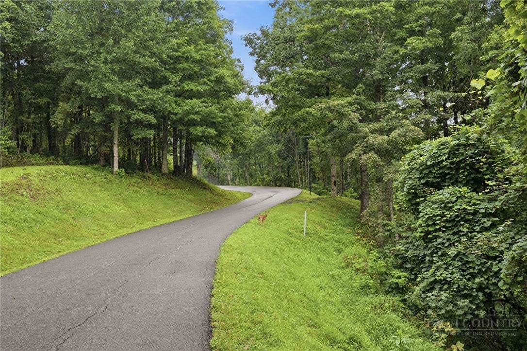 Lot 70 Bear Paw Road