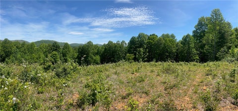 Photo of Lot 5 Madison Lane, West Jefferson, NC 28640 (MLS # 262522)