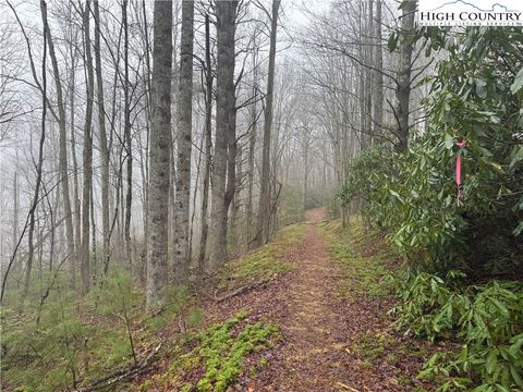 Photo of TBD Rainbow Mountain Road, Boone, NC 28607 (MLS # 254619)