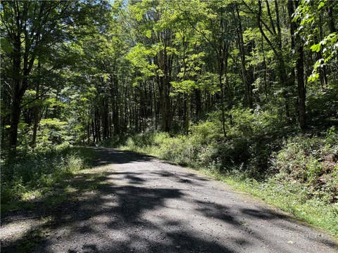 Photo of 7 Wolfsbane Lane, Todd, NC 28684 (MLS # 263638)