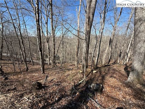 Photo of Lot 45 Happyland Road #45, Piney Creek, NC 28631 (MLS # 260656)