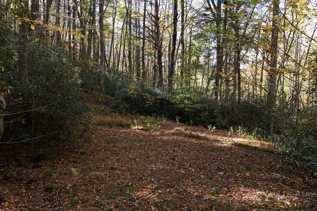 Lots 1-3 Kona Lane