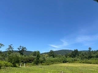Photo of TBD Black Bear Acres Lane, West Jefferson, NC 28694 (MLS # 263248)