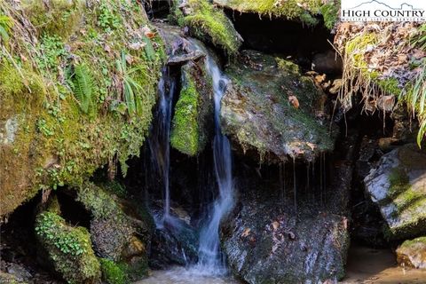 Photo of 8076 Elk Creek Road, Deep Gap, NC 28618 (MLS # 248830)