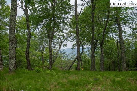 Photo of 75 Green Cliffs Road, Sugar Mountain, NC 28604 (MLS # 256206)