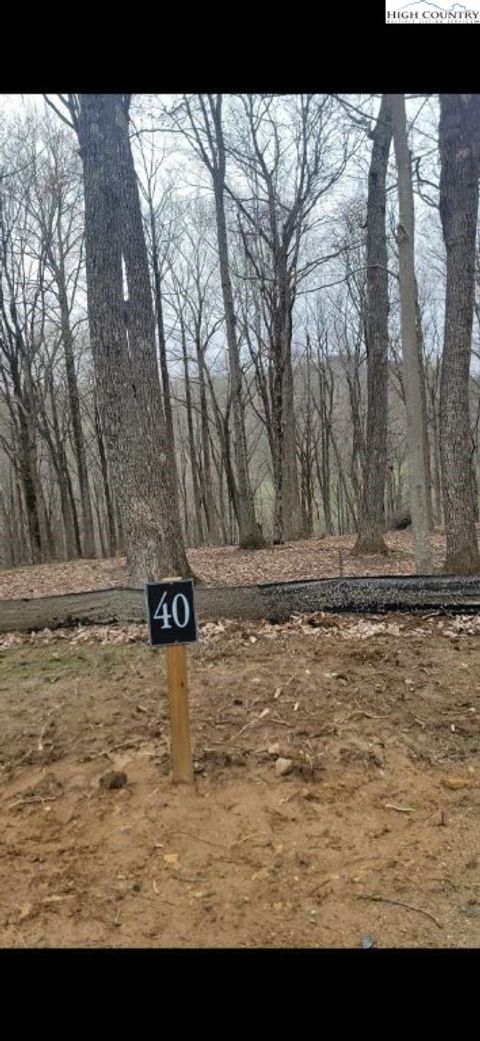 Photo of 0 Poplar Forest Lot 40 Drive, Boone, NC 28607 (MLS # 255035)