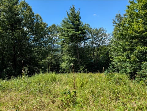 Photo of TBD Parkway Pointe Drive, West Jefferson, NC 28694 (MLS # 264305)