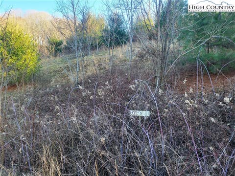 Vacant Land For Sale - LOT 5 Terra Vista Drive<br/> Laurel Springs, NC 28644