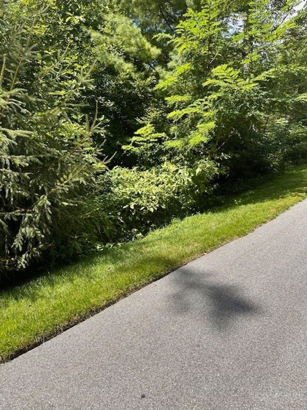 Photo of lot 17 Farm Loop Road, Banner Elk, NC 28604 (MLS # 262809)