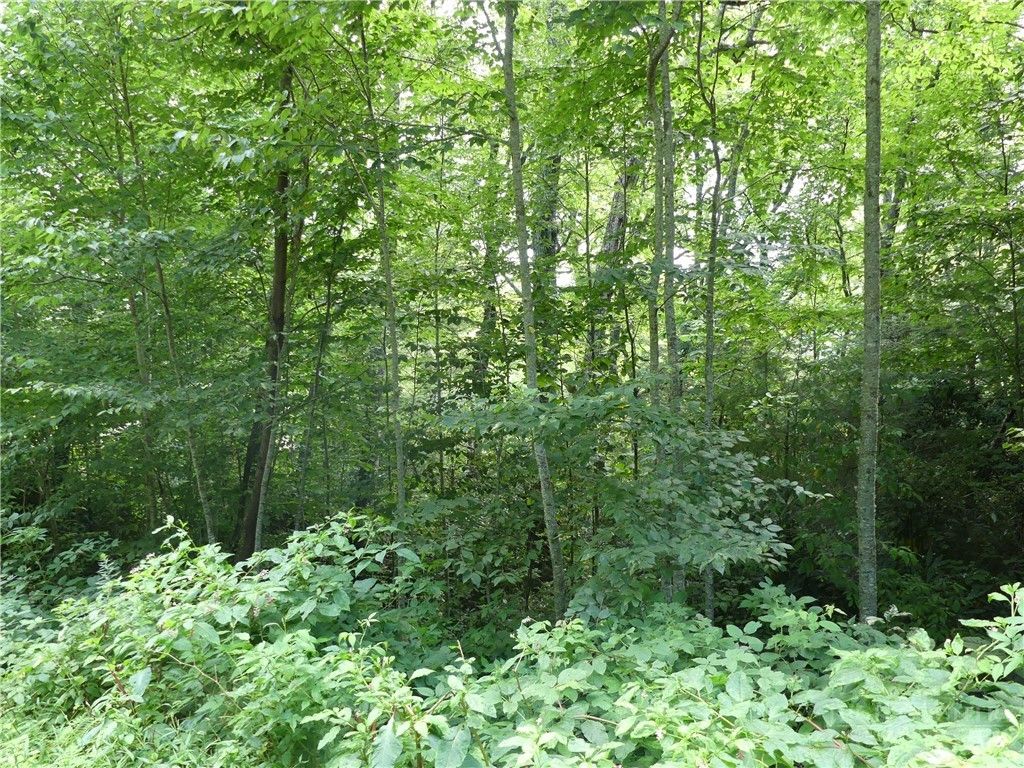 Photo of lot 17 Farm Loop Road, Banner Elk, NC 28604 (MLS # 262809)