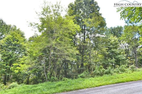 Photo of TBD Holiday Lane, Whitetop, VA 24292 (MLS # 257570)