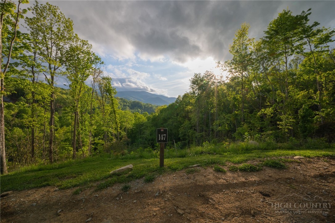 Lot 147 Old Forge Trail