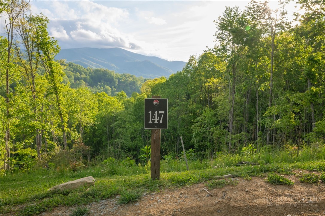 Lot 147 Old Forge Trail