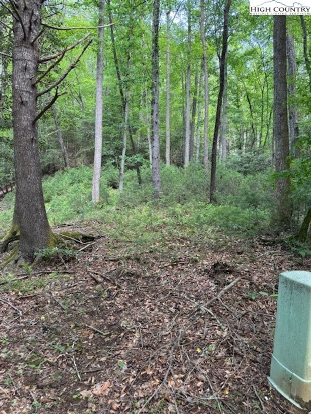 Photo of 5 Elk Ridge Road, Ferguson, NC 28624 (MLS # 256069)