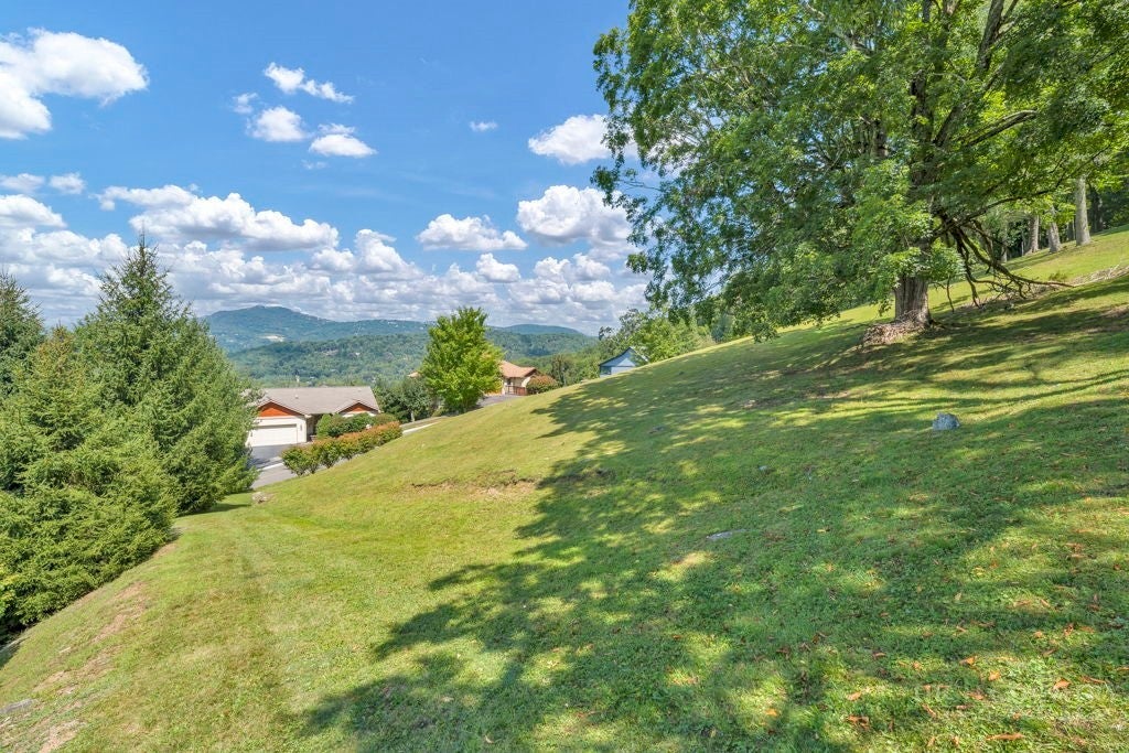 Lot 53 Supreme Golden Road