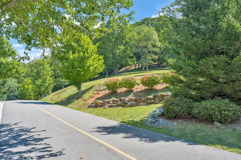 Lot 53 Supreme Golden Road
