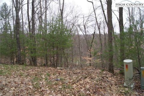 Vacant Land For Sale - LOT 75 Forest Hill Drive<br/> Sparta, NC 28675