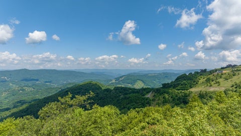 Vacant Land For Sale - LOT C206 Buffalo Nvno<br/> Trade, TN 37691