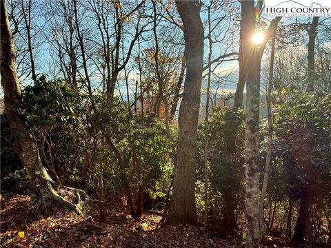 Photo of TBD Pheasant Walk Way, Vilas, NC 28692 (MLS # 259721)