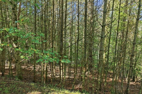 Photo of Lot 45 S Turkey Ridge Road, Lansing, NC 28645 (MLS # 264893)