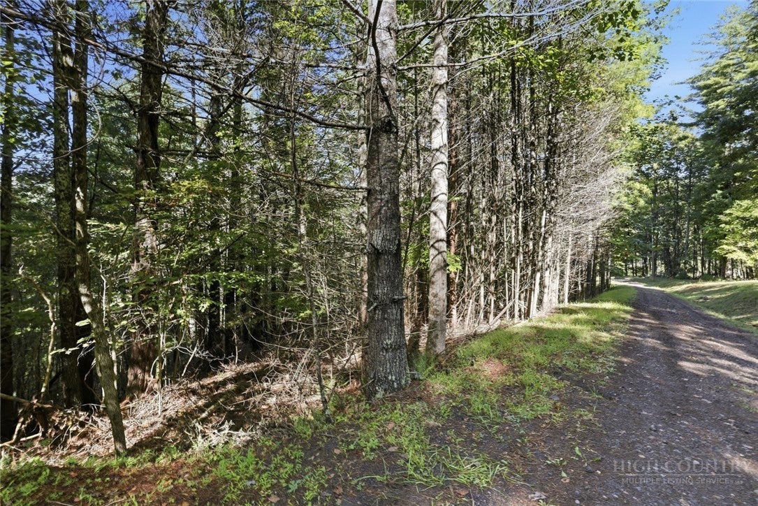Lot 45 S Turkey Ridge Road