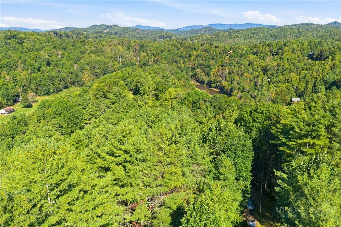 Lot 45 S Turkey Ridge Road
