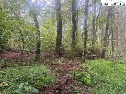 Photo of TBD Thistle Hill Lane, Jefferson, NC 28640 (MLS # 257362)