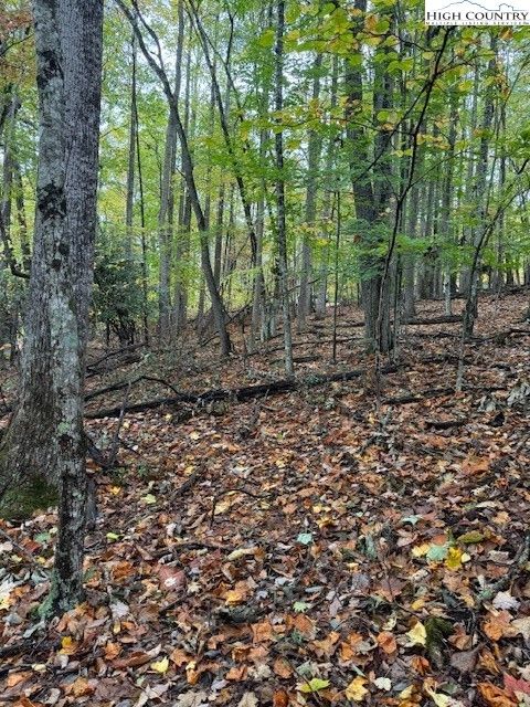 Condo For Sale - 108 Black Birch Lane<br/> Beech Mountain, NC 28604