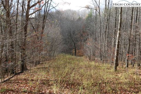 Photo of Lot 69 Paradise Valley Road, Creston, NC 28615 (MLS # 258856)