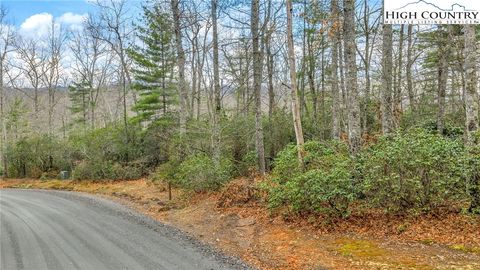 Photo of 75 Trailwood Drive, West Jefferson, NC 28694 (MLS # 260947)