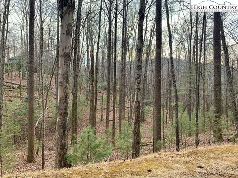 Photo of Tbd W Laurel Circle, Deep Gap, NC 28618 (MLS # 247827)