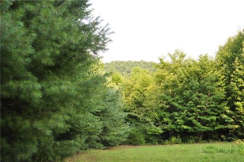 Photo of TBD Highland Laurel Lane, Deep Gap, NC 28618 (MLS # 263471)