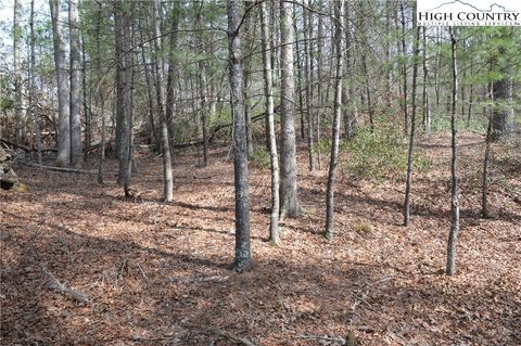 Photo of Lot #6 Cubs Lane, Sparta, NC 28675 (MLS # 260700)
