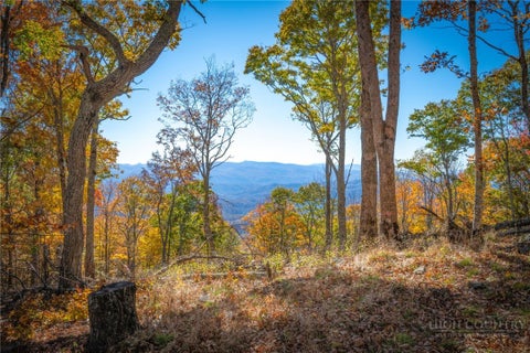 Photo of 567 Goat Mountain Road, Zionville, NC 28698 (MLS # 265172)