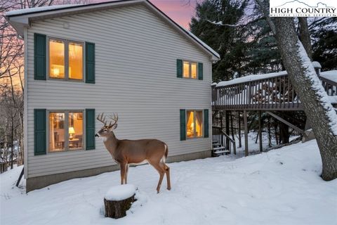Photo of 101 Doe Lane, Beech Mountain, NC 28604 (MLS # 259008)
