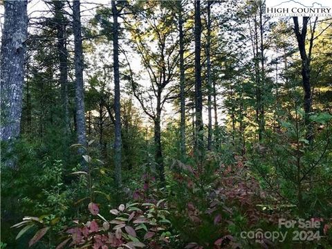 Photo of 1211 Winding Creek Way, Lenoir, NC 28645 (MLS # 257488)