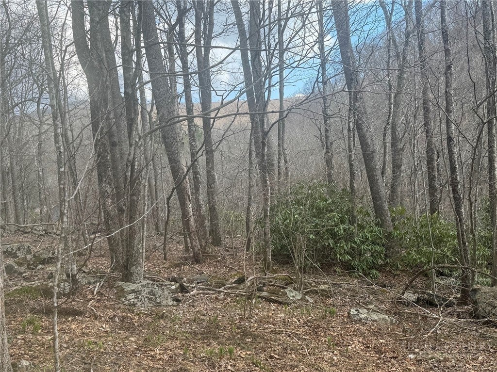 TBD - 2 Three Top Road
